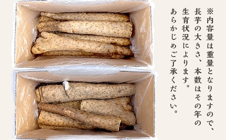【訳あり】それでも美味しい！こだわって作った産地直送 長野県山形村産 長芋 4kg 箱入れ
