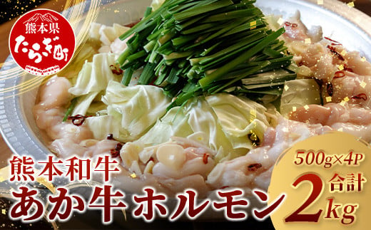 
            熊本県産 あか牛 ミックス ホルモン 2kg（500g×4パック） 《 年内お届け 》 ホルモン 大容量 小分け冷凍 もつ鍋 焼肉 焼き BBQ 和牛 国産 牛肉 熊本県 あか牛 046-0653
          