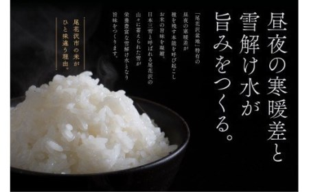 新米 米  10kg 5kg×2 雪若丸 精米 令和7年産 2025年産 選べる配送時期 11月上旬~3月下旬発送 山形県尾花沢市産 送料無料  ja-ywsxa10（山形県産 尾花沢産 雪若丸)