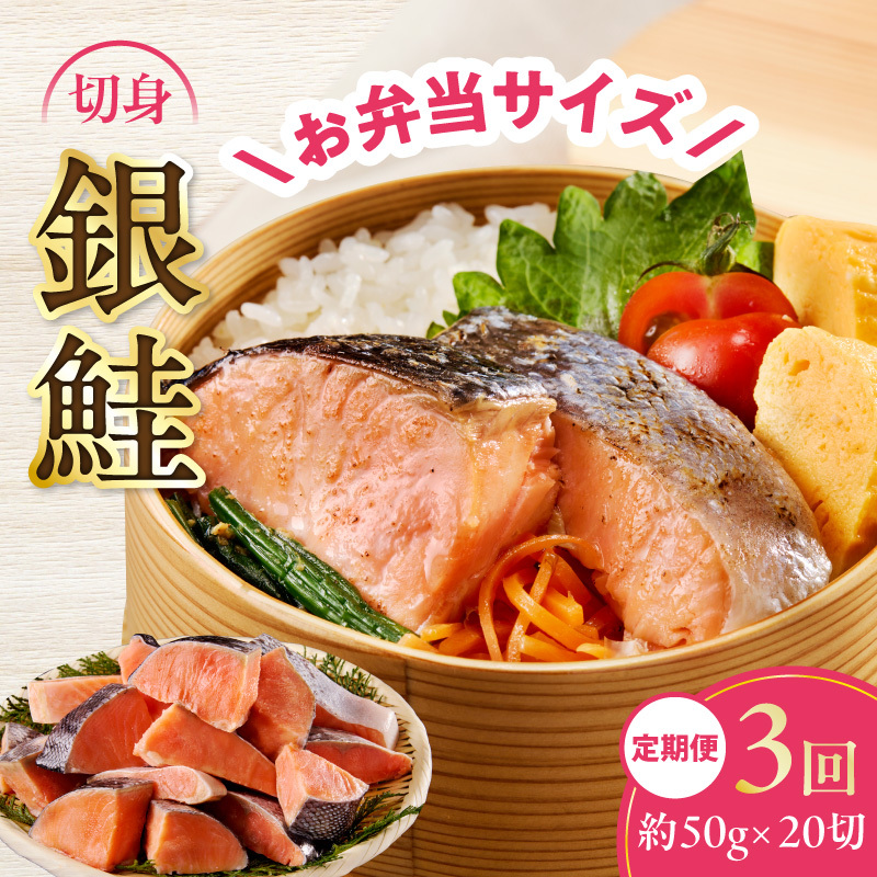 【定期便】銀鮭 切身 約50g×20切れ 全3回【お弁当サイズ 小分け 漁師 手切り 1kg さけ サケ 切り身 弁当 朝食 時短 訳あり サイズ不揃い 規格外 冷凍食品】 G4010