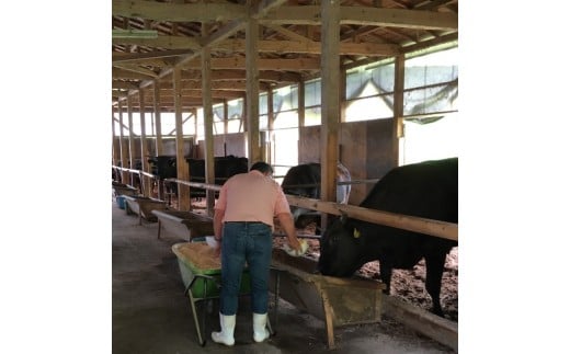 花巻黒ぶだう牛　肩ローススライス（ 焼肉用、もしくは すき焼き用 ）　 【511】
