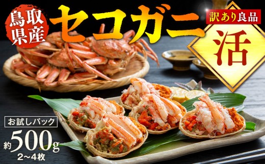 【活】鳥取県産　訳あり　良品セコガニ　お試しパック　約500ｇ（2～4枚）《かに カニ 蟹 セコガニ》※2026/11/6～2026/12/29に順次発送予定※着日指定不可  離島不可（北海道、沖縄本島は配送可能）｜ 蟹 かに せこがに せこ蟹 訳あり 家庭用 鳥取県産 北栄町 おすすめ 人気