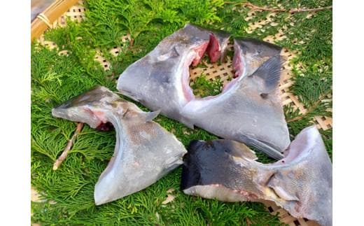 
										
										（冷凍）伊勢志摩産 かんぱち カマ 1kg ／ 城水産 ふるさと納税 新鮮 魚 寄付 おすすめ 美味しい 新鮮 産直 真空冷凍 塩焼き 煮付け バーベキュー キャンプ 三重県 南伊勢 鯛の町 迫間浦
									