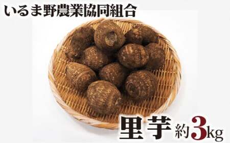 里芋 約3kg Lサイズ | 里芋 いるま野農業協同組合 埼玉県 狭山市