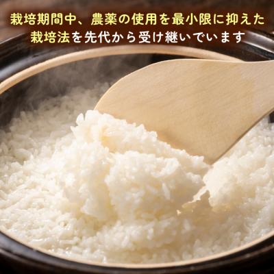 ふるさと納税 糸島市 【先行受付】とにかくおいしいお米 夢つくし 10kg 糸島市 シーブ [AHC023] |  | 01