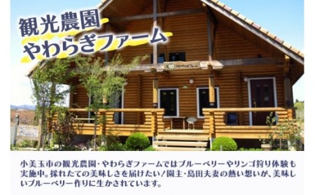 【数量限定】果汁50％ピンクブルーベリー飲料1本＆果汁50％ブルーベリー飲料1本（化粧箱入り） 9-P