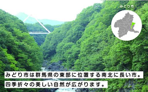 【35】朝採りとうもろこし13本