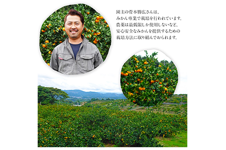 みかん 約5kg(2S-Lサイズ)《11月中旬-1月中旬頃出荷》 【日付指定不可】 菅本果実園