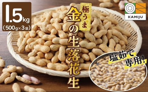【2025年発送】事前予約 やみつき極うま “金の生落花生” 1.5kg(500g×3袋) 生ピーナッツ 塩ゆで専用　H105-142