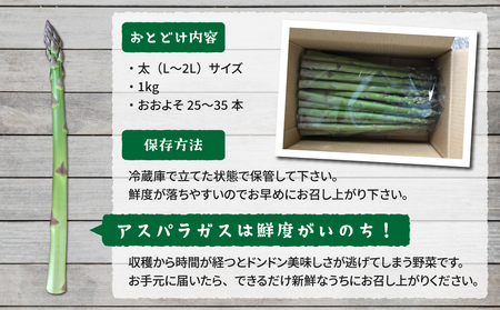 【のららぼ農園】農家直送！新鮮！夏獲れ太（L〜２L）アスパラ１kg（およそ25〜35本）