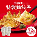 【ふるさと納税】国産野菜 宮崎県産 人気ラーメン店 鶏肉 桜姫 悠瑠里 特製 鶏餃子 72個 秘伝 ラーメンダレ おかず おつまみ おすすめ 加工品 冷凍 惣菜 宮崎県 宮崎市 送料無料