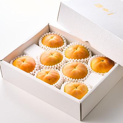 ふるさと納税 山梨市 やまなし内藤農園の太秋柿 2.3kg |  | 03