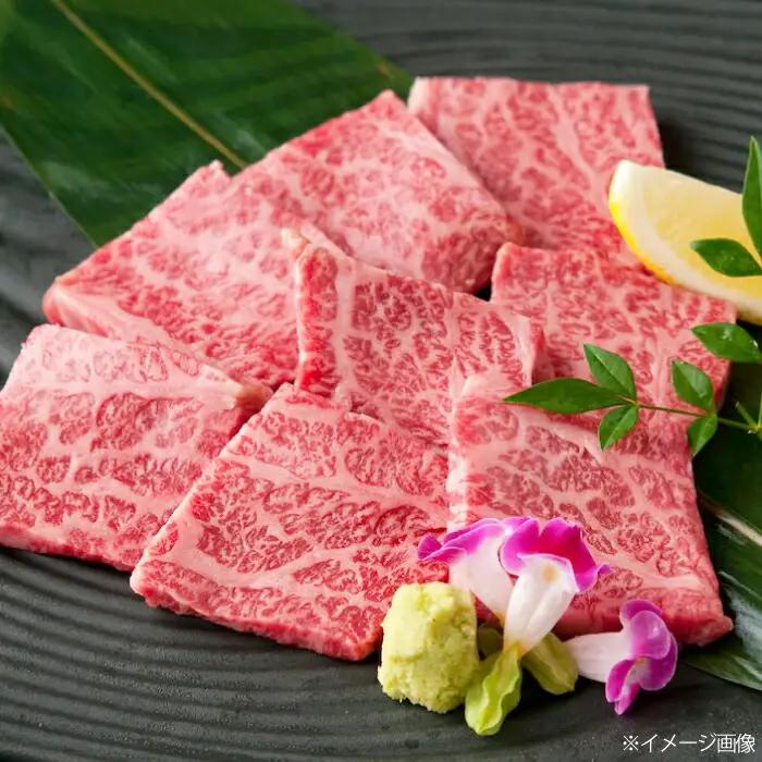 土佐黒毛和牛　ロース　焼き肉　約500g  / とろけるやわらかさ 和牛 高知県産 国産和牛 牛肉 黒毛和種  【（有）蔵多堂】[ATAE011]