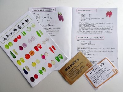 南国高知より 春夏秋冬 四季の野菜便り（年4回コース定期便） 高知県 須崎市