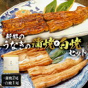 【ふるさと納税】 国産 新都 の うなぎ の 蒲焼 2尾と 白焼 1尾 セット 千葉県 南房総市 炭火焼き 継ぎ足し 秘伝タレ 粉山椒 関東風 ふっくら 柔らか お取り寄せ グルメ 海の幸 老舗 冷凍 送料無料