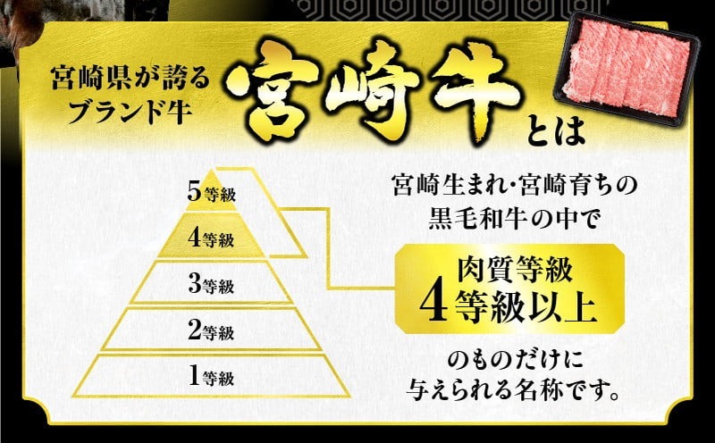 【お中元・夏の贈り物】数量限定 厳選 宮崎牛 赤身 ステーキ 計1kg 牛肉 国産 鉄板焼き BBQ バーベキュー 人気 黒毛和牛 モモ A4 A5 等級 ギフト 贈答 小分け 食品 選べる ミヤチク