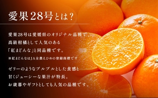 【2026年先行予約】みかん 愛果28号 約3kg M〜3Lサイズ混合 紅まどんな同一品種 【2026年11月下旬より発送予定】 愛媛 人気 柑橘 フルーツ 国産 おすすめ 伊予市｜B552