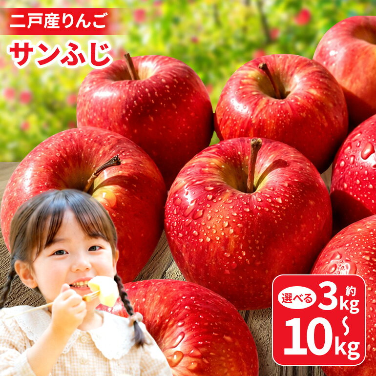 【ふるさと納税】 二戸産りんご サンふじ　選べる容量 約3kg (9~11玉)~10kg (24~46玉)008-0789x1