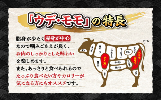 【12回定期便】長崎和牛赤身スライス2種 セット（モモ・ウデ）＜株式会社 黒牛＞ [CBA114] すき焼き しゃぶしゃぶ 食べ比べ すきしゃぶ 