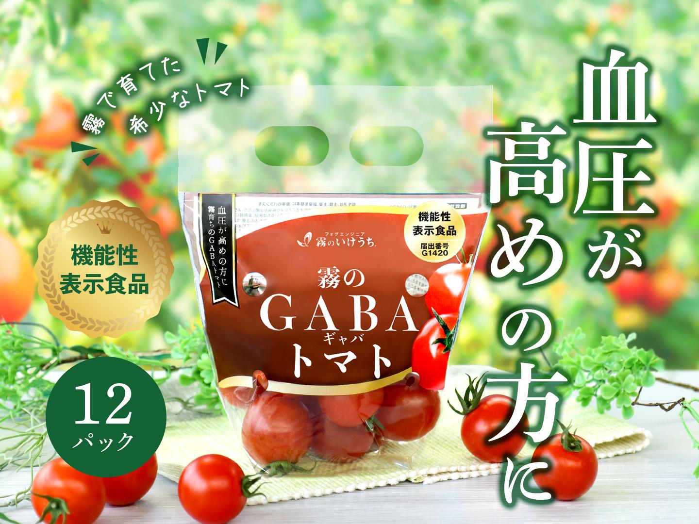 
                  おいしいだけじゃない！機能性表示食品 霧のGABAトマト 300ｇ×12パック（20-52）
                