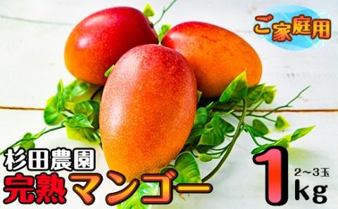 【先行予約】西都市産ご家庭用完熟マンゴー１ｋｇ（２玉～3玉）杉田農園　訳あり＜1.1-1＞2025年発送