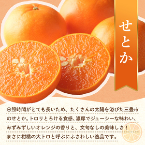 【フルーツ定期便 2回】 《ピオーネからスタート》 Bセット ピオーネ 約1.2kg せとか 約5kg ぶどう みかん 柑橘 旬 果物 国産 香川県 フルーツ定期便 F5J-780
