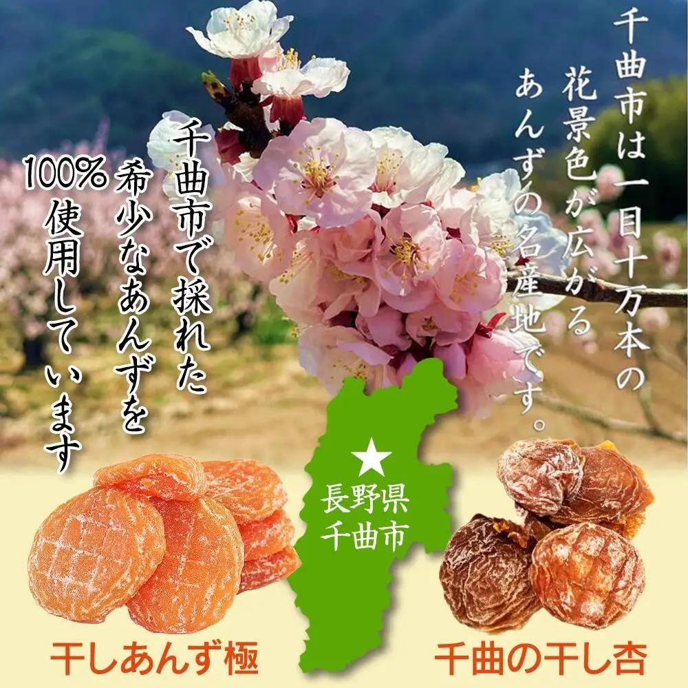 【食べ比べセット】千曲の干し杏   120g 干しあんず極 165g 各3袋セット 計6袋 |  あんず