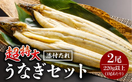 うなぎ白焼(超特大サイズ) 2尾 鰻 特大 白焼き