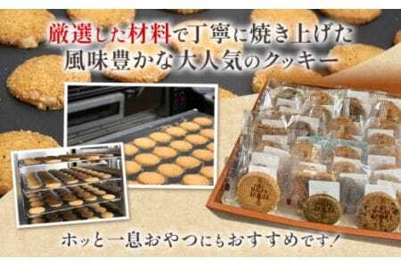 クッキーおまかせ詰め合わせ10枚入り
