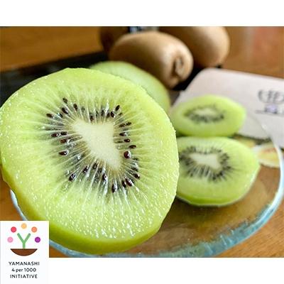 ふるさと納税 山梨市 キウイフルーツ(ヘイワード)約2kg