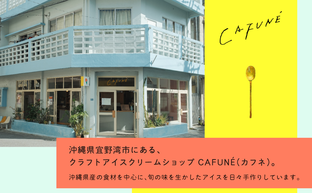 添加剤不使用 CAFUNÉ カフネ アイスクリーム 12個セット | 沖縄の食材 国産 厳選素材 沖縄素材 地産地消 手づくり アイス ハンドメイド クラフトアイスクリーム シャーベット | バニラ 