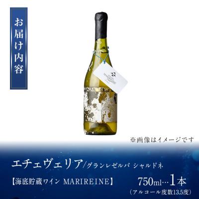 ふるさと納税 佐伯市 海底貯蔵ワイン 白 MARIREINE エチェヴェリア グランレゼルバ シャルドネ2022 |  | 01