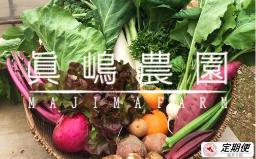 
                  AE002 【毎月定期便4回】季節のおまかせ野菜セット
                
