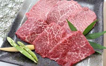 【特選定期便 全4回】A５等級黒毛和牛赤身味わい定期便 | 牛肉 焼肉 すき焼き ステーキ ブロック