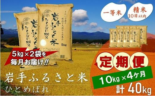 ☆全4回定期便☆ 岩手ふるさと米 10kg(5kg×2)×4ヶ月 一等米ひとめぼれ 令和5年産  東北有数のお米の産地 岩手県奥州市産 おこめ ごはん ブランド米 精米 白米