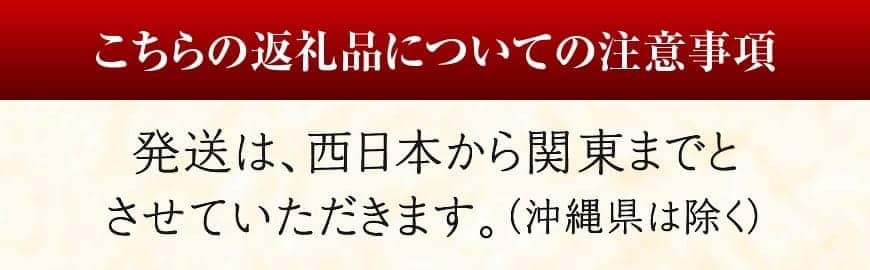 《先行予約》担当者厳選！伊勢海老1000g（2～5尾） 【魚介類 えび 伊勢えび イセエビ 日向灘】[D04402]