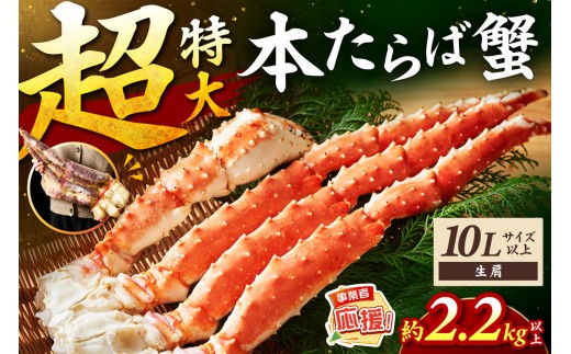 【1肩2.2kg以上の超極太10L以上メガサイズ】一番人気！ 本たらば蟹 生肩 約2.2kg以上【ふるさと納税3.0】【087B-068】