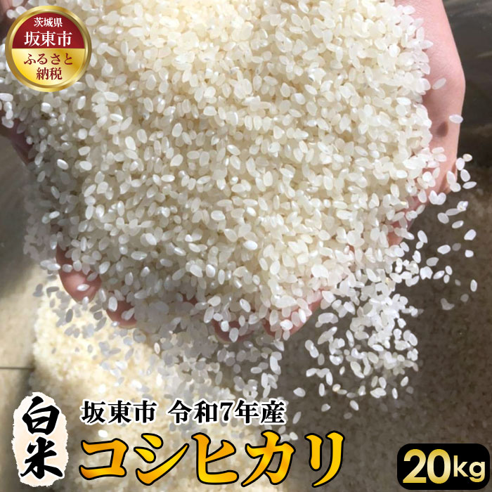 【ふるさと納税】 白米　コシヒカリ20kg【令和7年産】 ／ 自然 お米 米 こめ 送料無料 茨城県　No.412