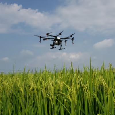 ふるさと納税 羽島市 【毎月定期便】岐阜県産ハツシモ　10kg(精米5kg×2袋)全12回 |  | 02