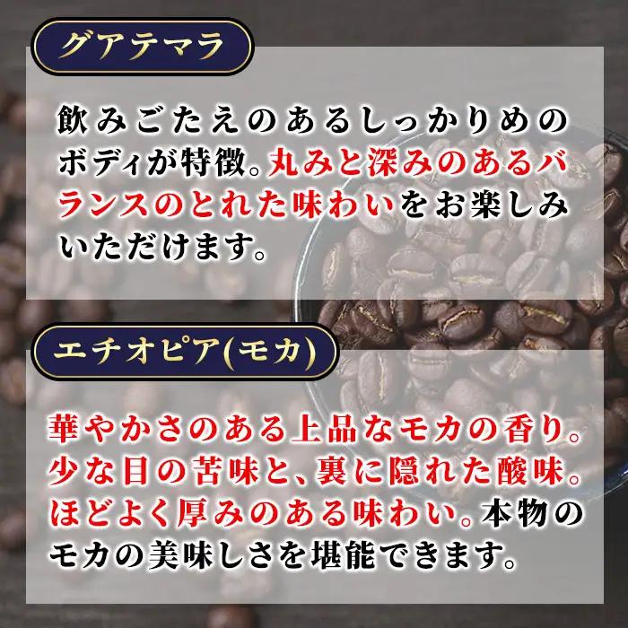 自家焙煎コーヒー豆　厳選ストレート2種400g（グアテマラ200g・エチオピア200g） モカ 珈琲 飲料 ドリンク アウトドア キャンプ おうち時間【BC001】【Backrest Coffee】