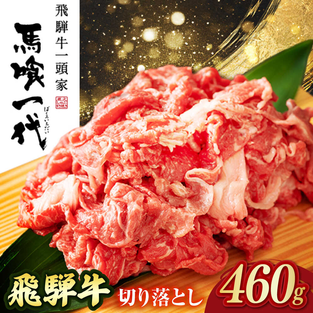 【ふるさと納税】牛肉 飛騨牛切り落とし 460g 和牛 国産牛 うす切り 焼肉 霜降り 肉 ビーフ おすすめ 人気 切落し すき焼き すきやき 牛丼 炒め物 ブランド牛 銘柄牛 牛肉 ごちそう ギフト おかず プレゼント 美味しい おいしい 岐阜市/岐阜県名産販売[ANAB014]
