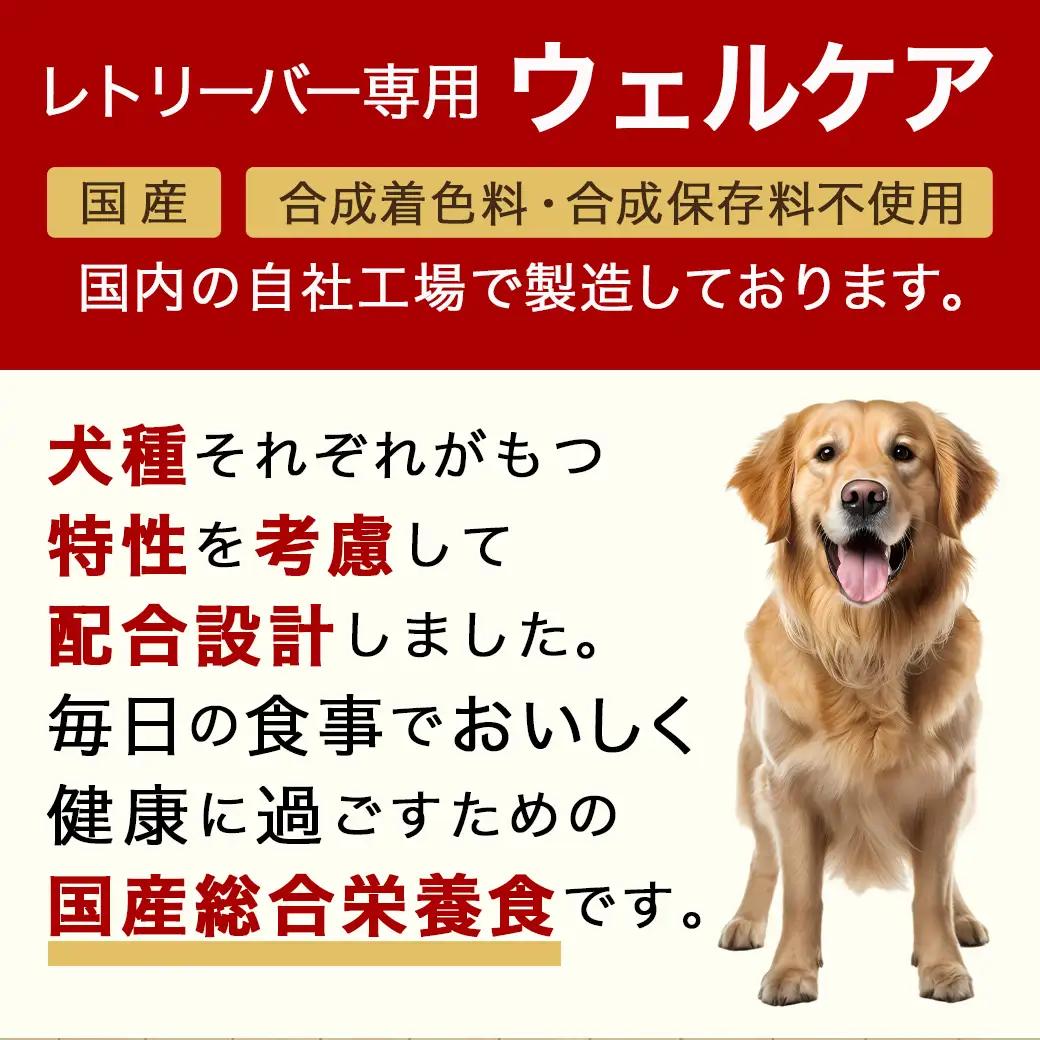 ドッグフード(レトリーバー専用)シニア6kg_LG-3316_(都城市) 国産総合栄養食 ドライフード レトリーバー専用 大粒タイプ シニア用 健康維持 犬種別 犬用フード
