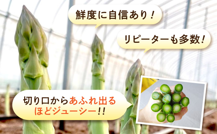 【スピード発送】 アスパラ （約1.5kg）先行予約 夏芽 アスパラガス 旬 野菜 グリーンアスパラ とれたて アスパラガス 朝採れ 三次市/福分アスパラ [APAU004]