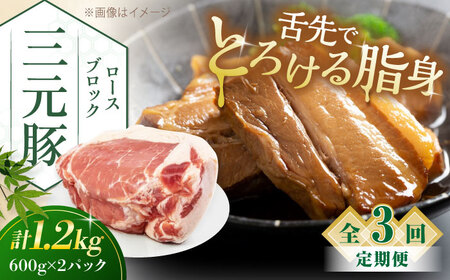 【全3回定期便】三元豚 ロースブロック1.2kg（600g×2パック）《喜茂別町》【平田牧場】 肉 豚肉 ロース ブロック ローストポーク 煮豚 酢豚 煮物 冷凍配送[AJAP099]