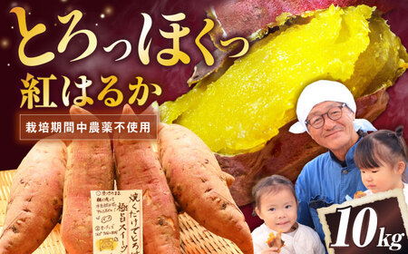 【厳選】紅はるか 10kg 滋賀県長浜市/好作豊吉[AQCF016]