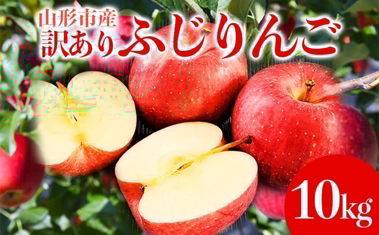 
            山形市産 家庭用 【訳あり・ふじりんご】10kg (32~56玉)※数量限定 FY25-847
          