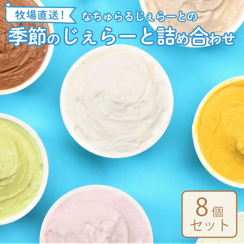 ジェラート ８個セット  【 ミルク チョコ ブルーベリー チーズ ピスタチオ 塩 キャラメル アイス ジェラート セット 季節 てづくり なちゅらるじぇらーと なかの牧場 8個 】　F04_01