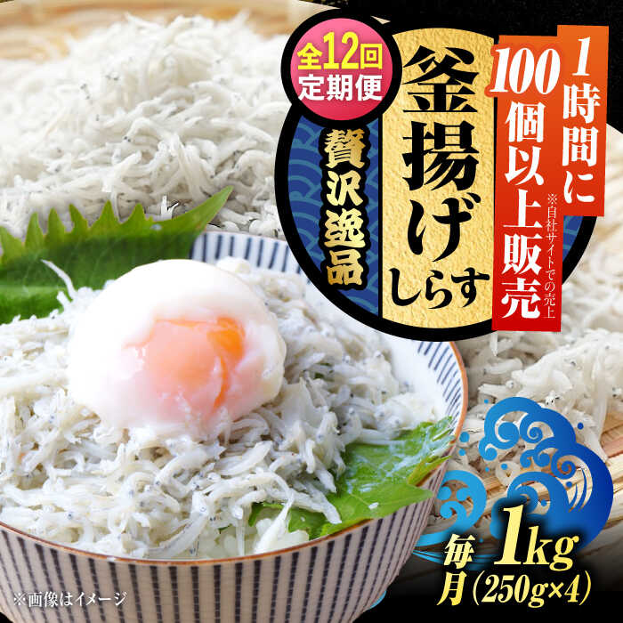 【ふるさと納税】【全12回定期便】鮮度抜群 ふわふわ 釜揚げしらす 1kg しらす 釜揚げ 冷凍 シラス 小分け パック 干し 魚介類 鮮魚 海鮮 海産物 セット 詰め合わせ ギフト 広島県産 人気 送料無料 江田島/三島水産株式会社[XCN010]