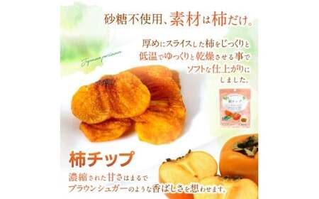 ドライフルーツ ドライフルーツ5袋セット（八朔、みかん、みかん、柿、梅）【kmf014】