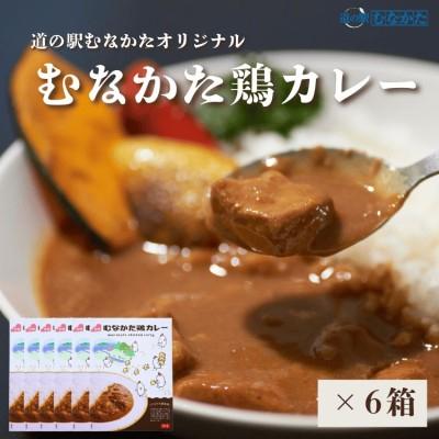 ふるさと納税 宗像市 むなかた鶏カレー 6個セット【道の駅むなかた】_HA1827